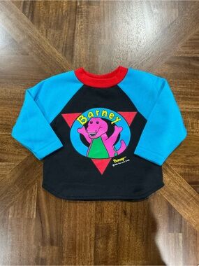 New Without Barney The Lyons Group Colorblock Pullover Sweatshirt Size 2T
